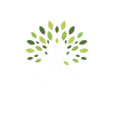 Roots of Giving logo